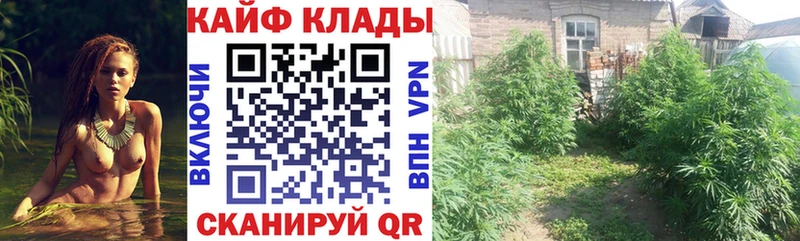 Купить наркотик Зарайск Кокаин A-PVP Конопля АМФ Галлюциногенные грибы МЕФ