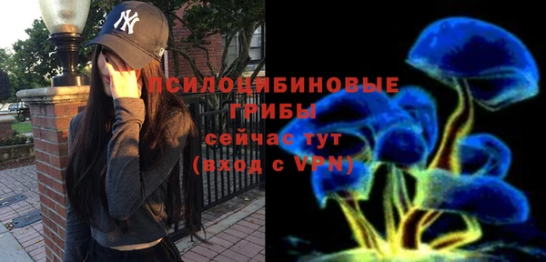 спайс Абаза