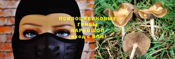 стафф Алексин