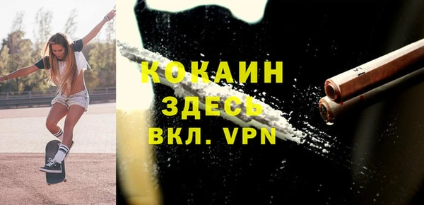 стафф Алексин